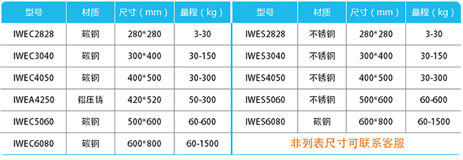 精度計(jì)重臺秤-IWE產(chǎn)品參數(shù)
